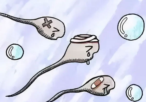 做试管婴儿卵巢取太多卵泡受伤了要怎样调理?